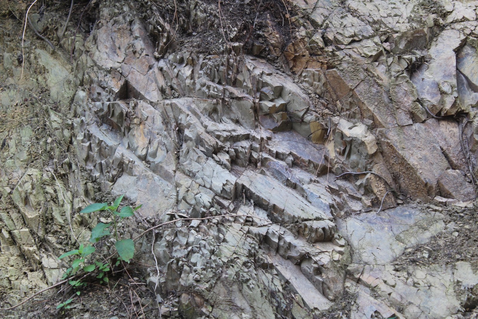 Geodiversity